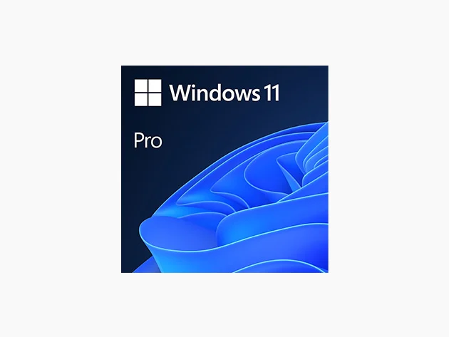 licenta windows 11