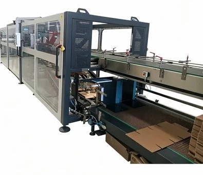 Wrap Around Case Packer